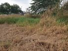 ขายที่ดิน คลองสาม, คลองหลวง ปทุมธานี พื้นที่ 25 ไร่ 3