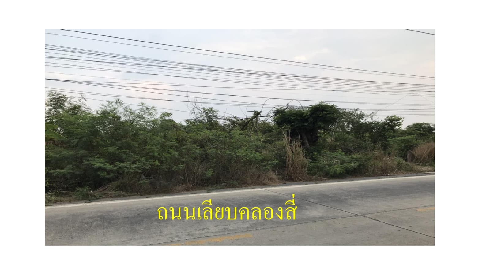 ขายที่ดินติดถนนเลียบคลองสี่ คลองหลวง ปทุมธานี เนื้อที่ 49-3-80 ไร่ (19,980 ตรว.)