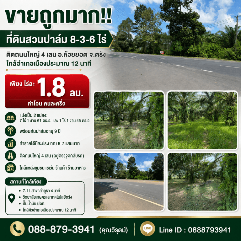 ขายถูกมาก!! ที่ดินสวนปาล์ม 8-3-6 ไร่ ติดถนนใหญ่ 4 เลน อ.ห้วยยอด จ.ตรัง ใกล้อำเภอเมืองประมาณ 12 นาที 5