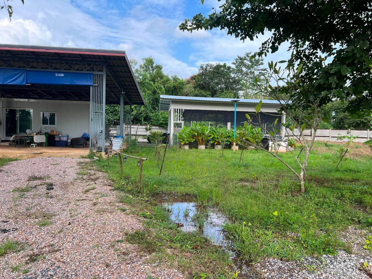 ขายถูกมาก!! ที่ดินการเกษตร 112 ไร่ วิวภูเขา ติดคลอง มีบ่อน้ำ พร้อมระบบน้ำเปิด 2,000 หัว ทำเลดีมาก อ.นาดี ปราจีนบุรี 3