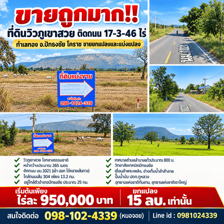 ขายถูกมาก!! ที่ดินวิวภูเขาสวย ติดถนน 17-3-46 ไร่ ทำเลทอง อ.ปักธงชัย โคราช ขายยกแปลงและแบ่งแปลง 4