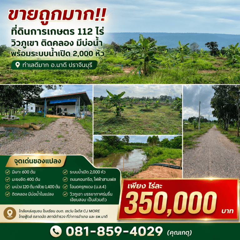 ขายถูกมาก!! ที่ดินการเกษตร 112 ไร่ วิวภูเขา ติดคลอง มีบ่อน้ำ พร้อมระบบน้ำเปิด 2,000 หัว ทำเลดีมาก อ.นาดี ปราจีนบุรี 4
