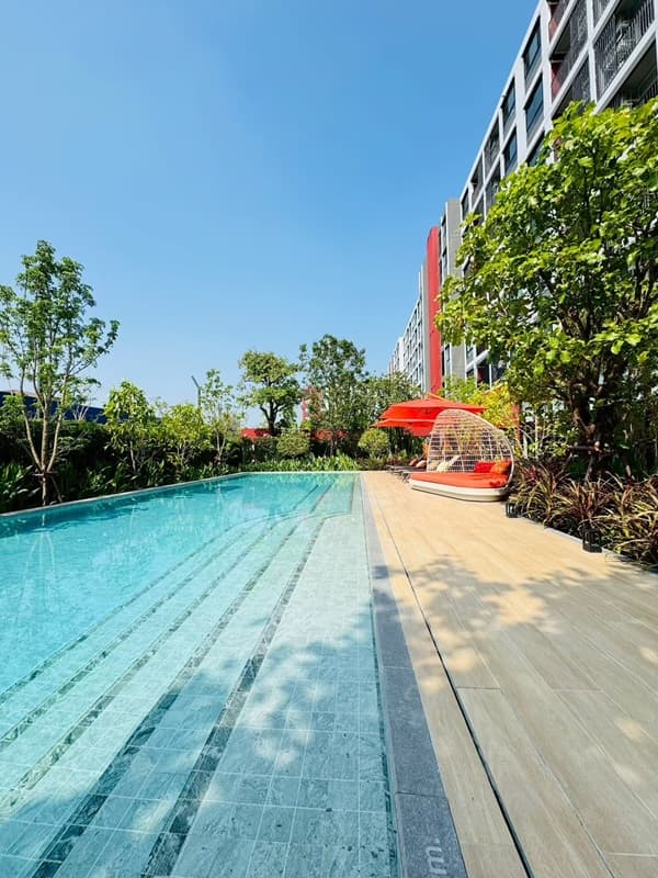 dcondo Vivid Rangsit คอนโดตรงข้าม ม.กรุงเทพ ข้ามสะพานลอย = ถึงมหาลัย พร้อมอยู่! โทร 061-616-1426 4