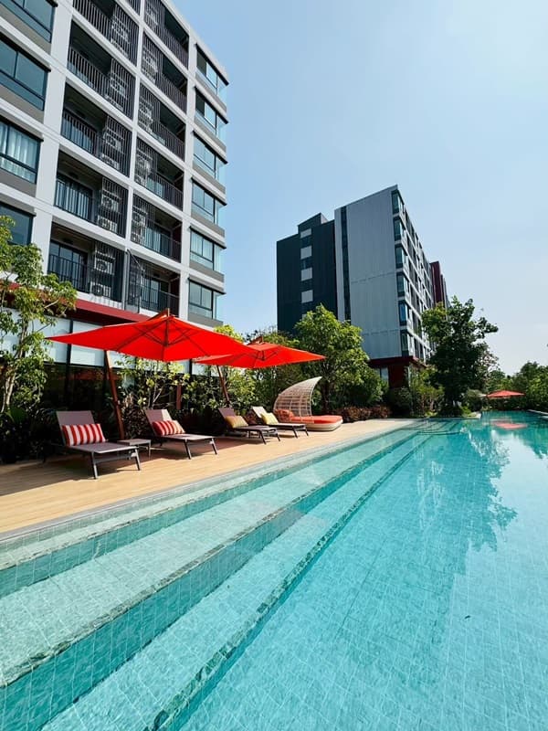 dcondo Vivid Rangsit คอนโดตรงข้าม ม.กรุงเทพ ข้ามสะพานลอย = ถึงมหาลัย พร้อมอยู่! โทร 061-616-1426