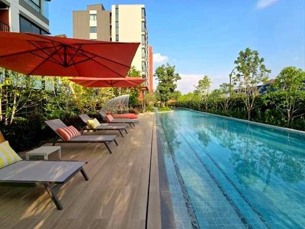 dcondo Vivid Rangsit คอนโดตรงข้าม ม.กรุงเทพ ข้ามสะพานลอย = ถึงมหาลัย พร้อมอยู่! โทร 061-616-1426 5