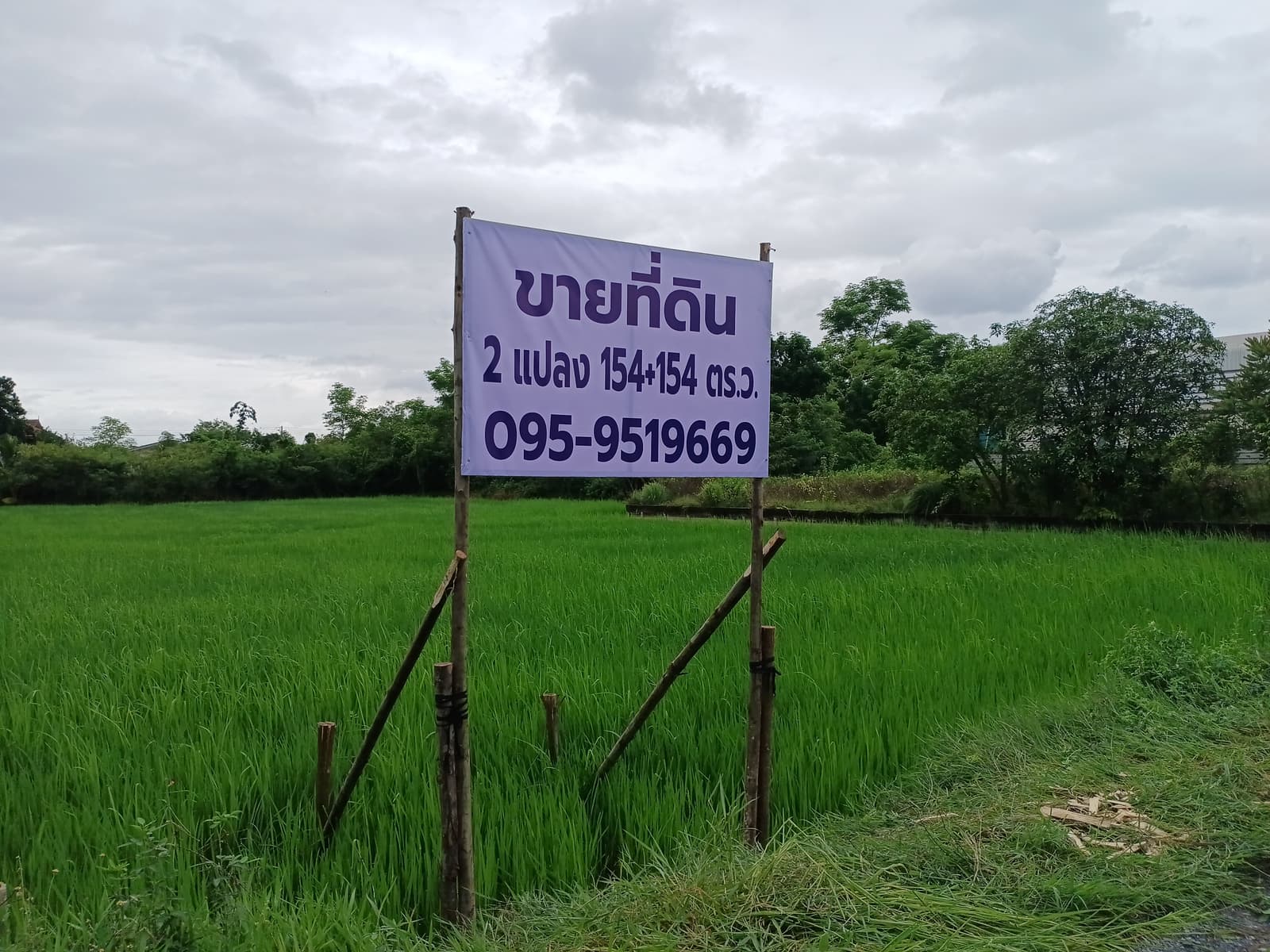 ที่ดิน 308 ตร.วา พุทธมณฑลสาย5 ซอยบางกระทึก10 (ซอยบุญฝ้าย) นครปฐม 3
