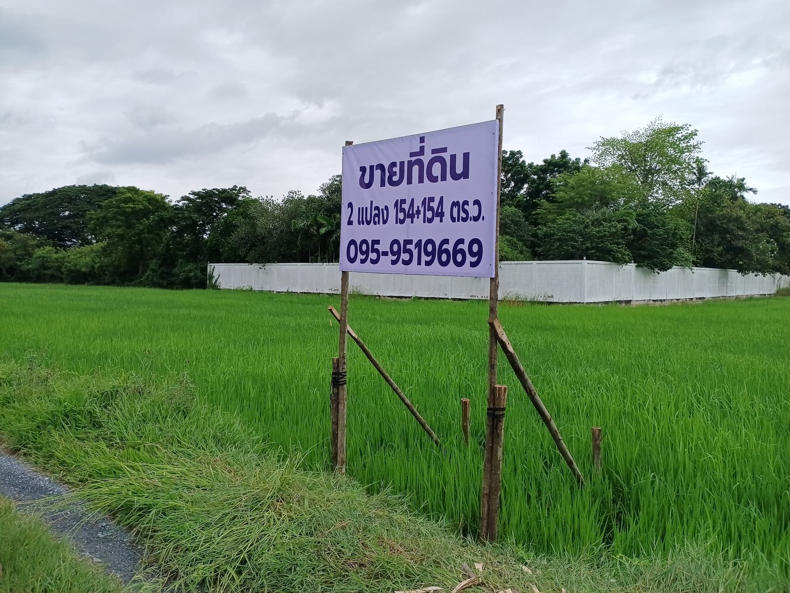 ที่ดิน 308 ตร.วา พุทธมณฑลสาย5 ซอยบางกระทึก10 (ซอยบุญฝ้าย) นครปฐม 2