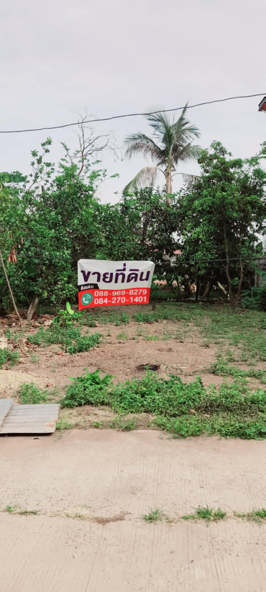 ขายที่ดิน 70 ตร.ว. ท่าบ่อ หนองคาย เจ้าของขายเอง 2
