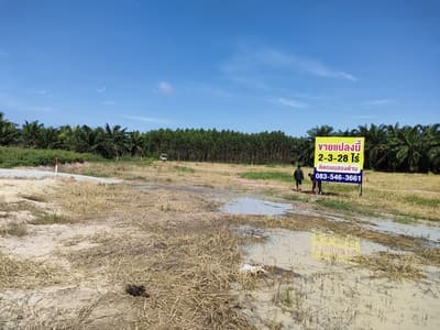 ขายที่ดิน หนองชาก บ้านบึง ชลบุรี ใกล้นิคมอุตสาหกรรมแห่งใหม่ 1.5 กม. เหมาะสร้างคลังสินค้า บ้านจัดสรร 2