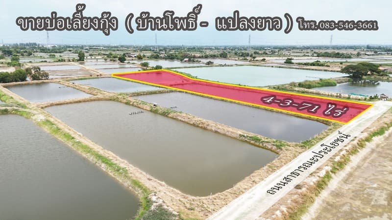 ขาย บ่อกุ้ง บ้านโพธิ์ ฉะเชิงเทรา ใกล้ มินิ มูร่าฟาร์ม ตร.ว.ละ 1,500 บาท 4