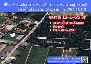 ขายที่ดิน เหมาะสร้างโครงการบ้าน ห้องเช่า ใกล้นิคม WHA ESIE 3 หนองใหญ่ ชลบุรี