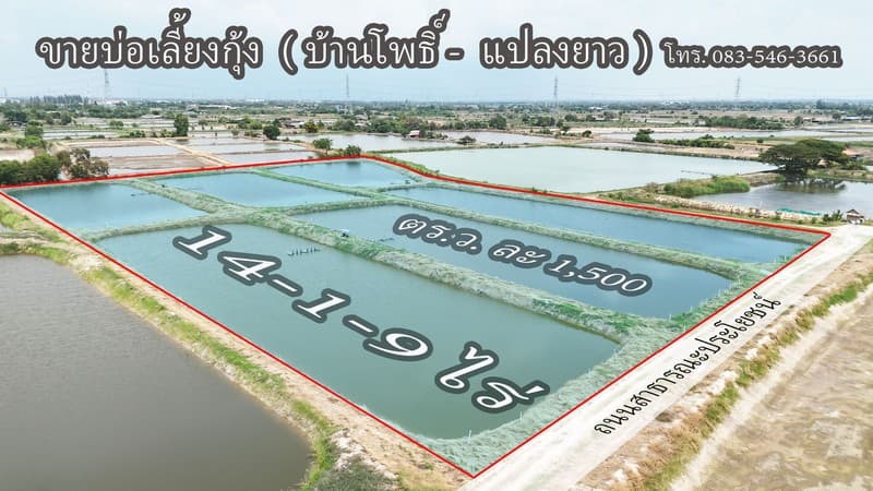 ขาย บ่อกุ้ง บ้านโพธิ์ ฉะเชิงเทรา ใกล้ มินิ มูร่าฟาร์ม ตร.ว.ละ 1,500 บาท 5