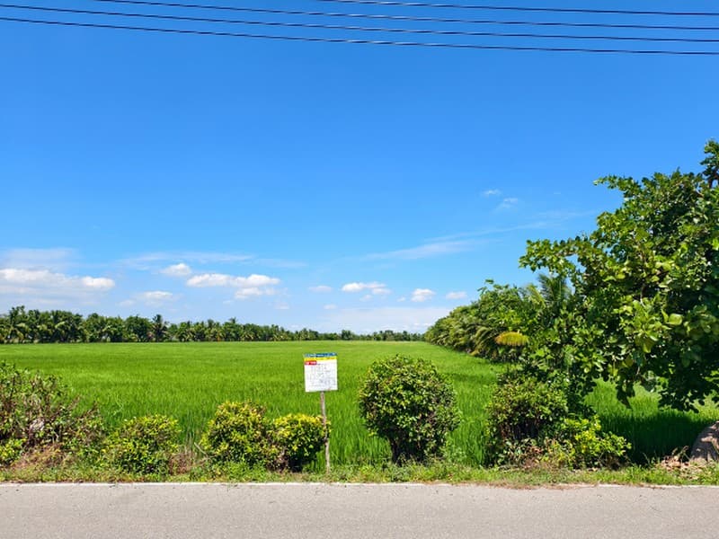 ขายที่ดิน 7-2-8 ไร่ ตรงข้ามอนามัยหนามแดง ใกล้วัดหนามแดง จ.ฉะเชิงเทรา 4