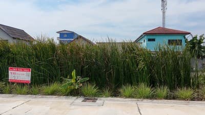ขายที่ดิน 1งาน ซอยรังสิต-นครนายก 57 ธัญบุรี คลอง 2 ซอยข้างร้านเป๋าตุงกุ้งเผา 2