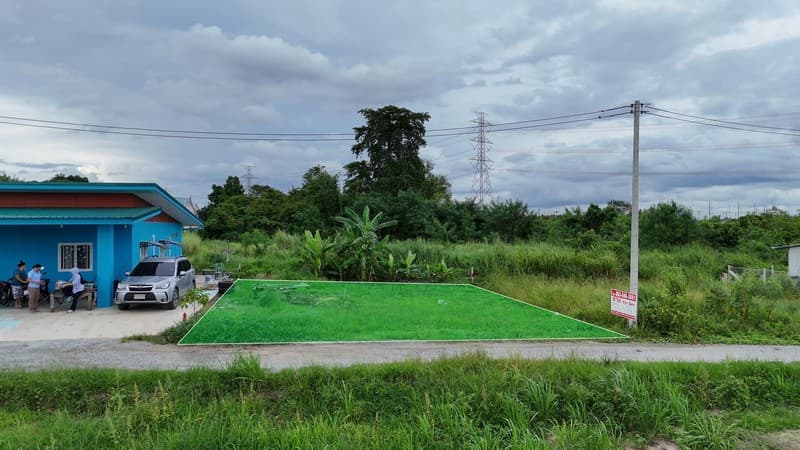 ขายที่ดิน 60 ตร.ว. นาเริก พนัสนิคม ใกล้สี่แยกเกาะโพธิ์ 331 (1.2 กม ) 5