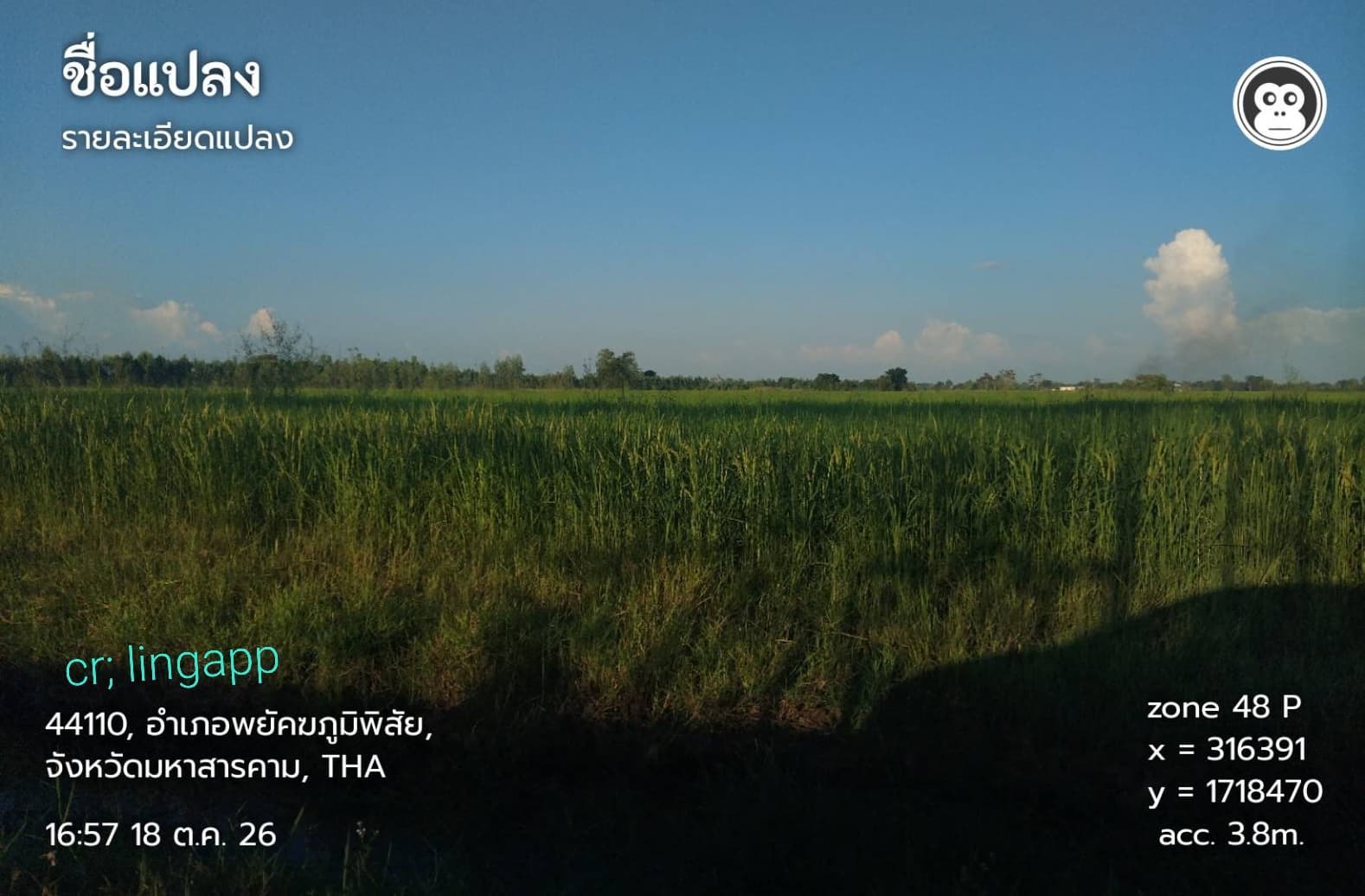 ขายด่วน ที่ดินโฉนด 41 ไร่ จังหวัดมหาสารคาม #เจ้าของขายเอง 3