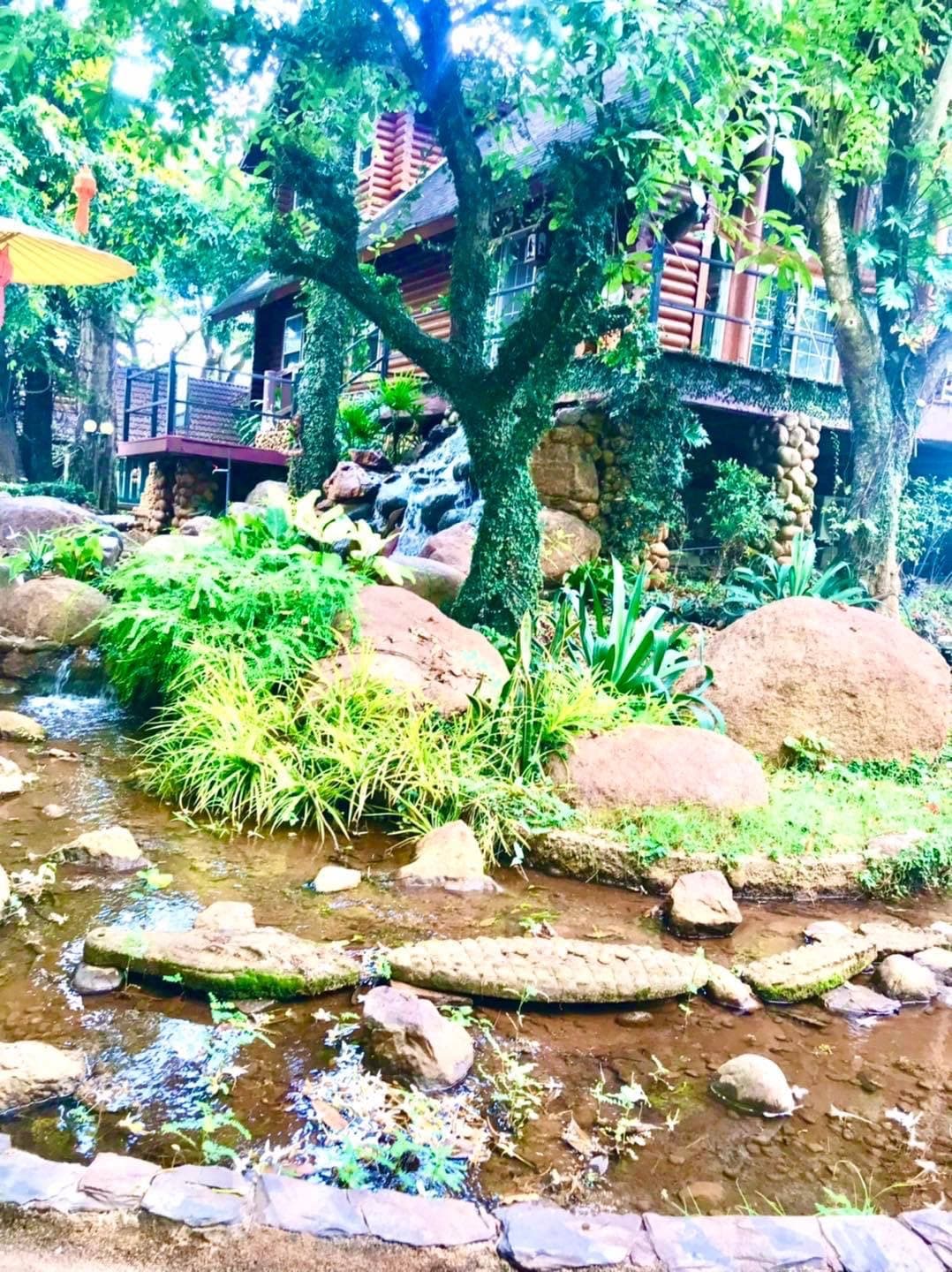 BUSINESS SMALL RESORT ขายรีสอร์ท สวยงามมากๆ สันกำแพง เชียงใหม่ สวยงามมากๆ บรรยากาศอบอุ่น ร่มรื่นเขียวขจี น่าอยู่มากๆ 6