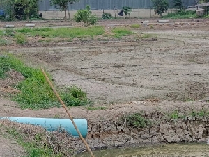 ID :  ด.0003 ต้องการขาย ที่ดิน ที่ดิน เมืองปทุมธานี ไม่ไกลจาก ใกล้ตัวเมืองปทุมธานี 5600000 THAI BAHT  38 ไร่ 10 Ngan 0 ตาราง-วา ซื้อไว้มีแต่กำไร