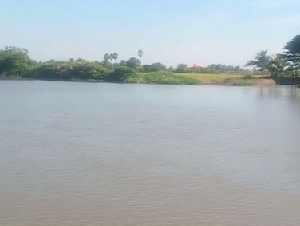 ขายที่ติดแม่น้ำบางปะกง 24 ไร่เศษ ติดถนนสาธารณะสองด้าน ต.บางยาง อ.บ้านสร้าง จ.ปราจีนบุรี