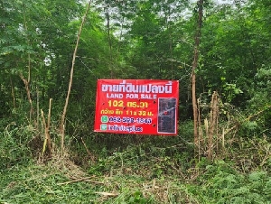 รหัส  61ที่ดินคุณหนมคอลสามสิบเอ็ดทับสาม SALE ที่ดิน - 102 sq.wa 0 NGAN 0 ไร่  ใกล้กับ ตลาดไท วัดธรรมกาย ร้านพี่ยาคนรุม ถูกที่สุด