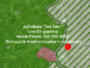 พื้นที่ดิน ขายที่ดินเปล่า พร้อมพืชสวนทางการเกษตร อ.นครชัยศรี จ.นครปฐม  0 ตร.วา 2 ngan 9 ไร่    ทำเลดีเยี่ยม นครปฐม   