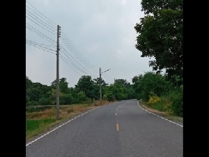  ขายที่ดิน 10 ไร่ ใกล้ถนนสิริโสธร ( 314 ) บางปะกง-ฉะเชิงเทรา  ต.แสนภูดาษ อ.บ้านโพธิ์ จ.ฉะเชิงเทรา