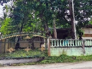 ขาย บ้านเดี่ยวซอย โรงเรียนเหนือคลองประชาบำรุง เหนือคลอง กระบี่ 