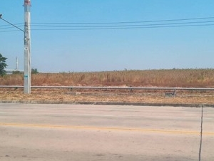 ขายที่สีม่วงเข้ม  7 ไร่เศษ  ต.มาบโป่ง อ.พานทอง จ.ชลบุรี