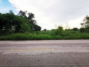 ขาย ที่ดินเปล่า จัตุรัส ชัยภูมิ ถนน จัตุรัส-หนองบัวระเหว