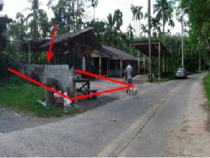 ขายที่ดินว่างเปล่า •ทุ่งโพธิ์ •จุฬาภรณ์ •นครศรีธรรมราช