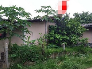 ขายบ้านเดี่ยวมือสอง       อำเภอสุวรรณภูมิ  ร้อยเอ็ด