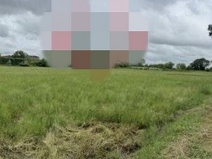 ขายที่ดินว่างเปล่ามือสอง   อำเภอเมืองร้อยเอ็ด  ร้อยเอ็ด