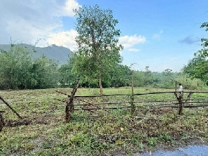 ที่ดินวิวสวย ราคาถูก โซนแม่ออน                            