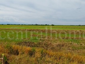 ที่ดินเปล่า 4 ไร่ 28.3 ตร.วา ถนนบางเลน 346 นครปฐม ราคาถูก