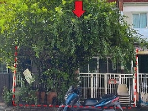 ขายทาวน์เฮ้าส์หมู่บ่านไลโอ พหลโยธิน-วัชรพล (ซอย 2) ถนนพหลโยธิน 54/1 แขวงคลองถนน เขตสายไหม กรุงเทพมหานคร
