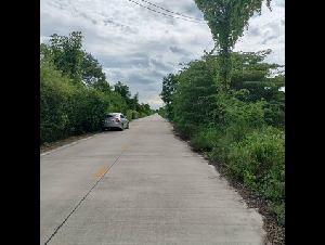 ขาย ที่ดินเปล่า เนื้อที่ 2 ไร่ (800 ตารางวา) ซ.บึงบอน 10 อ.หนองเสือ จ.ปทุมธานี