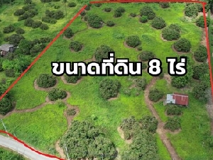 ขายที่ดิน 8 ไร่ บ้านสันกลาง ดอนแก้ว สารภี เชียงใหม่