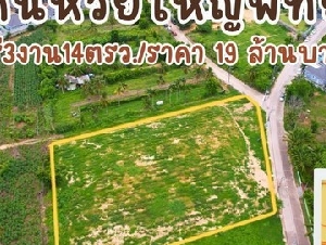 ขายที่ดินห้วยใหญ่แปลงสวย ทำเลดี ถนนเทศบาล 1 ซอย 27 ตำบลห้วยใหญ่ อำเภอบางละมุง  ชลบุรี