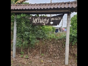 ขายที่ดินเปล่า นครนายก ปากพลี 33 ไร่ หน้ากว้าง เจ้าของรีบ เหมาะทำรีสอร์ท