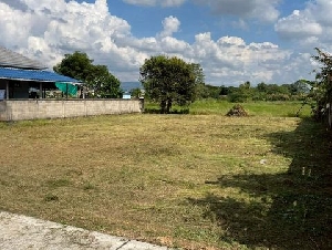 ขายที่ดิน 1.85 ล้าน 130 ตรว. #เหมืองแก้ว #แม่ริม เชียงใหม่ ทำเลดี ใกล้แหล่งชุมชน