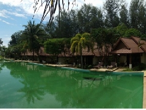ขายโรงแรม/รีสอร์ท โครงการ The Kib เกาะคอเขา บีช รีสอร์ทแอนด์สปา ถนน สายบ้านปากเกาะ-บ้านนอกนา ตำบล เกาะคอเขา อำเภอ ตะกั่วป่า จังหวัด พังงา