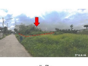 ขายที่ดินว่างเปล่า ถนน ถนนสงขลา-ปัตตานี (ทล.42) ตำบล นาทวี อำเภอ นาทวี จังหวัด สงขลา