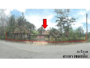 ขายบ้านเดี่ยว ถนน ราชมานิต ตำบล นาทวี อำเภอ นาทวี จังหวัด สงขลา