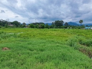 ขายที่ดิน 2 ไร่ ต.หินตั้ง เมืองนครนายก ถนน 4 เลน เดินทางสะดวก!