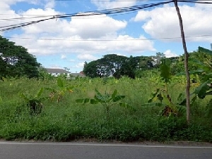 ที่ดินทำเลดี พื้นที่สีเหลือง บรรยากาศสงบ โซนแม่เหียะ 