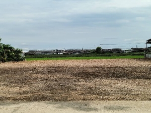 ขายที่ดินเปล่า ถมแล้ว เนื้อที่ 107 ตารางวา อยู่ในซอยแสนเกษม หนองจอก กรุงเทพ