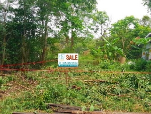 ที่ดินเปล่า ซอยคลองหกตะวันออก 98/1  ถ.รังสิต-นครนายก คลองหลวง ปทุมธานี