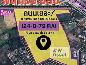 ขายที่ดินสุดปัง 124-0-79 ไร่ อ.บ้านบึง จ.ชลบุรีผังสีเหลือง