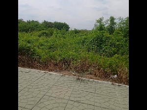 ขายที่ดินสวย ปทุมสายใน หน้ารร.ปทุมนันทมุนีบำรุง เหมาะสร้างโครงการ ขนาด 15 ไร่ เพียงไร่ละ 6.5 ล้าน!