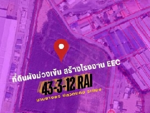 ขายที่ดิน 43-3-12 ไร่ เขตพื้นที่ สีม่วงเข้ม ติดนิคมอมตะซิตี้ระยอง 